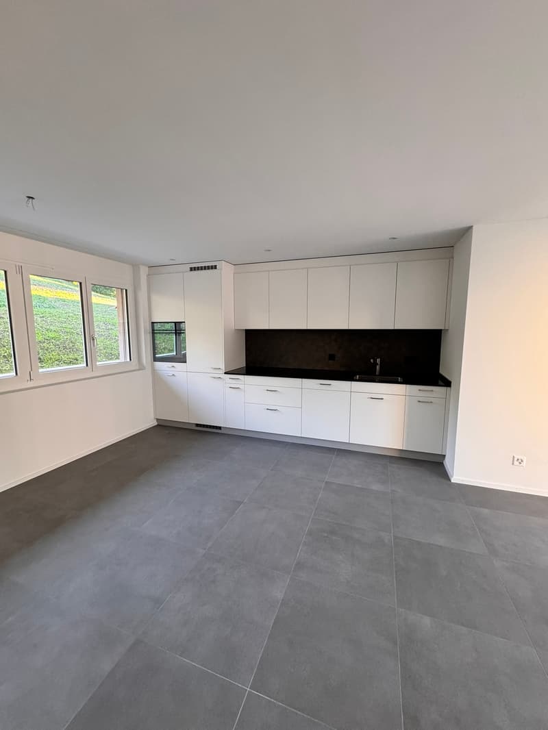 Erstvermietung 2 MFH Kirchweg 358 / 359 in Zullwil – Modern wohnen im Grünen (3)