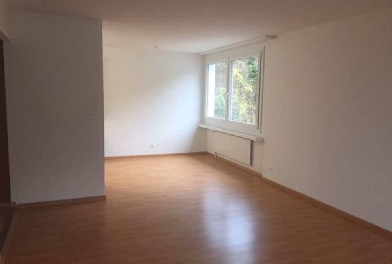 Gemütliche 3.5-Zimmer-Wohnung mit Balkon in Trimbach – ab November 2026 verfügbar (1)