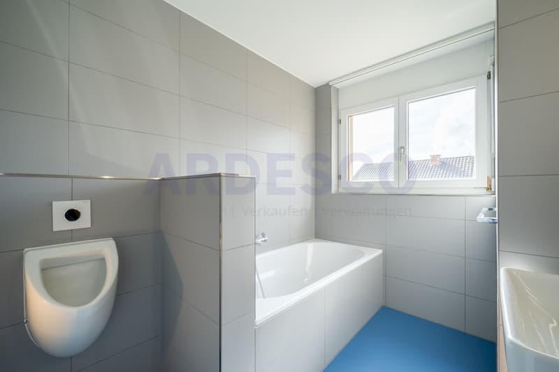 Badezimmer / Badewanne / Pissoir / WC