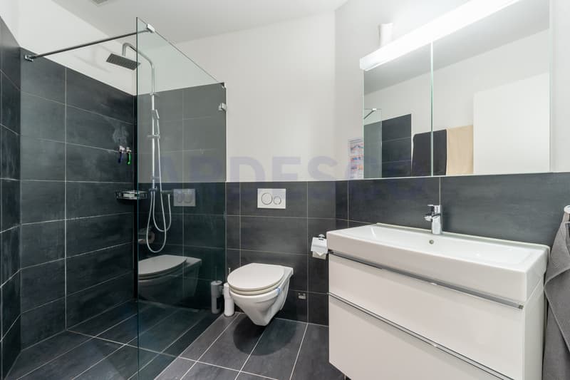 Nasszelle mit Dusche