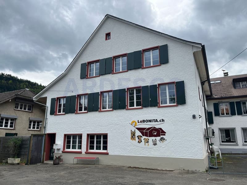 Aussenansicht: Die drei grossen Fenster gehören zum Wohnzimmer, das kleinere Fenster zur Galerie.