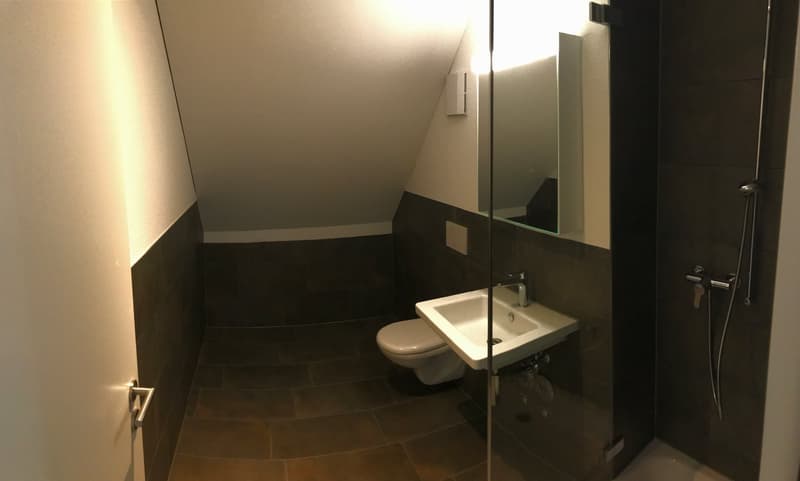 Charmante 4.5-Zimmer-Maisonette-Wohnung in Unterengstringen (3)