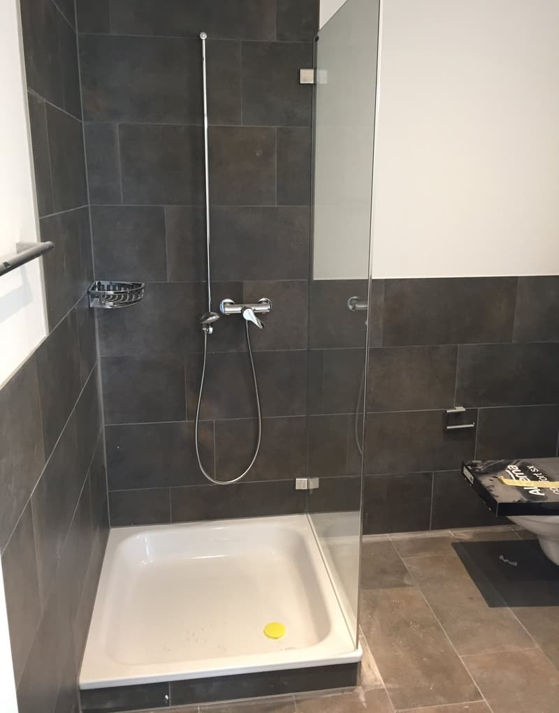 Charmante 4.5-Zimmer-Maisonette-Wohnung in Unterengstringen (11)