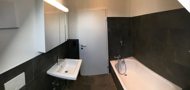 Charmante 4.5-Zimmer-Maisonette-Wohnung in Unterengstringen (9)