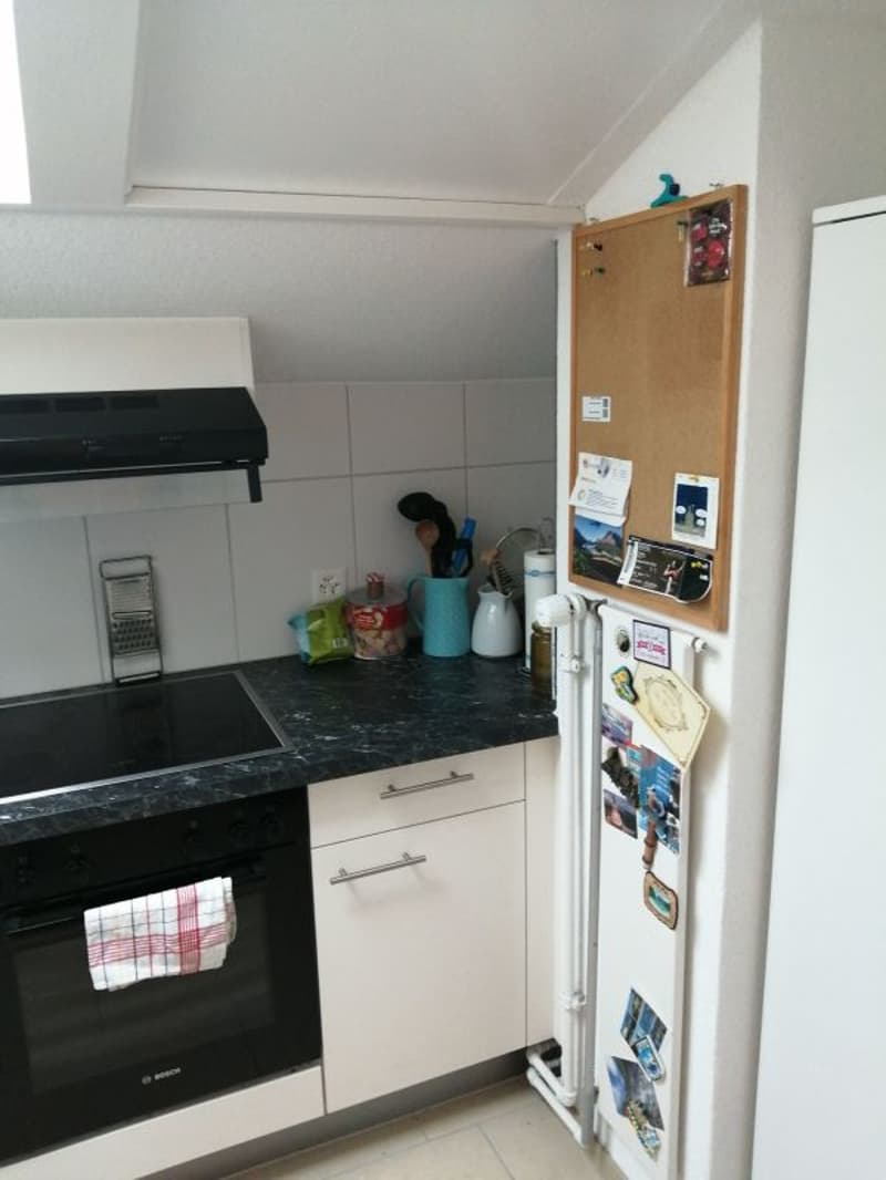 Appartement rénové et abordable de 4.0 pièces dans une petite maison multifamiliale avec balcon (près de Flawil, canton de Saint-Gall) (5)