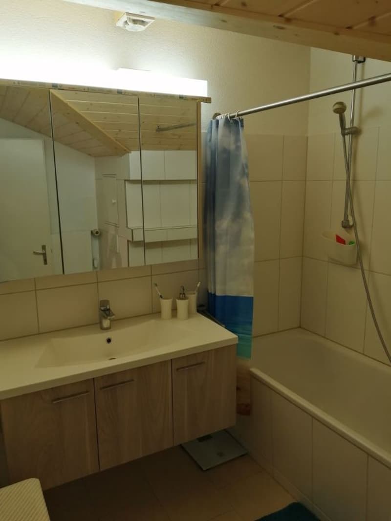 Appartement rénové et abordable de 4.0 pièces dans une petite maison multifamiliale avec balcon (près de Flawil, canton de Saint-Gall) (9)
