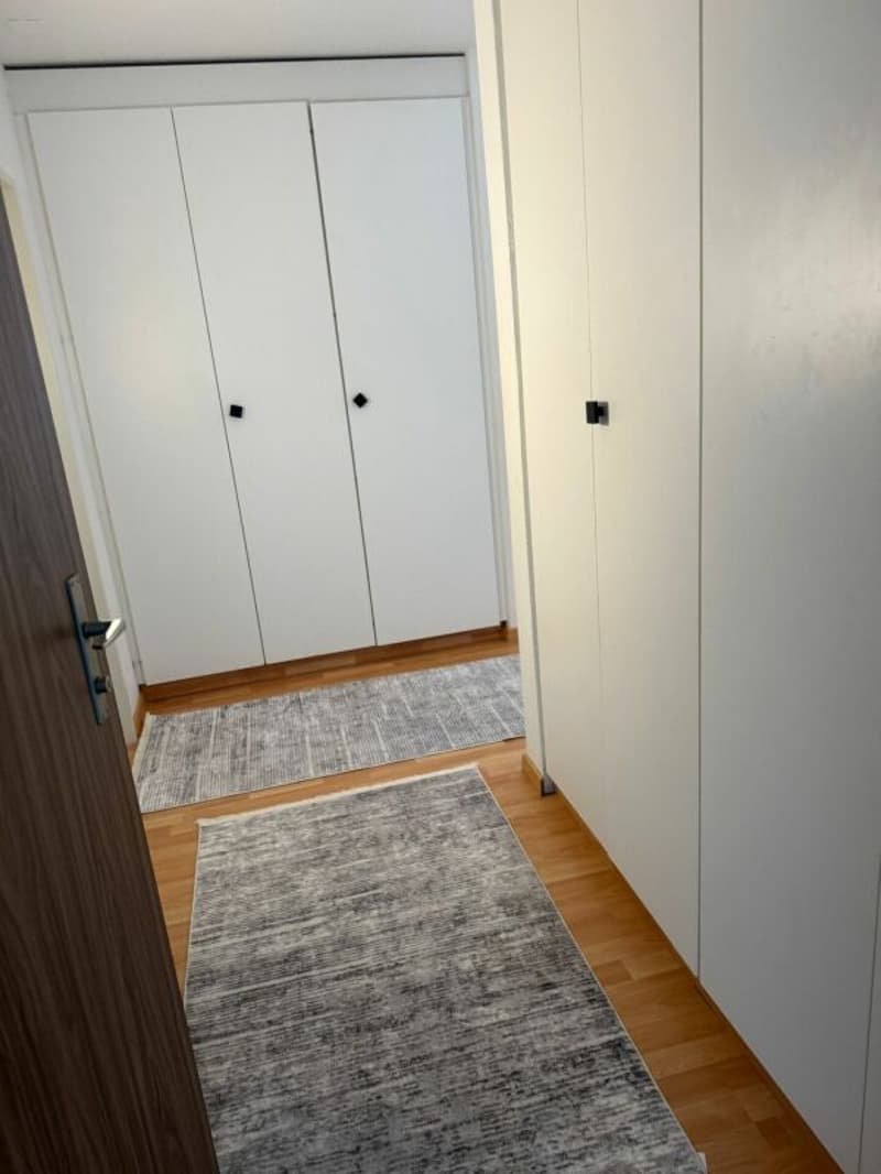 Ampio appartamento di 4,5 locali nel quartiere "Flurhof" (9)