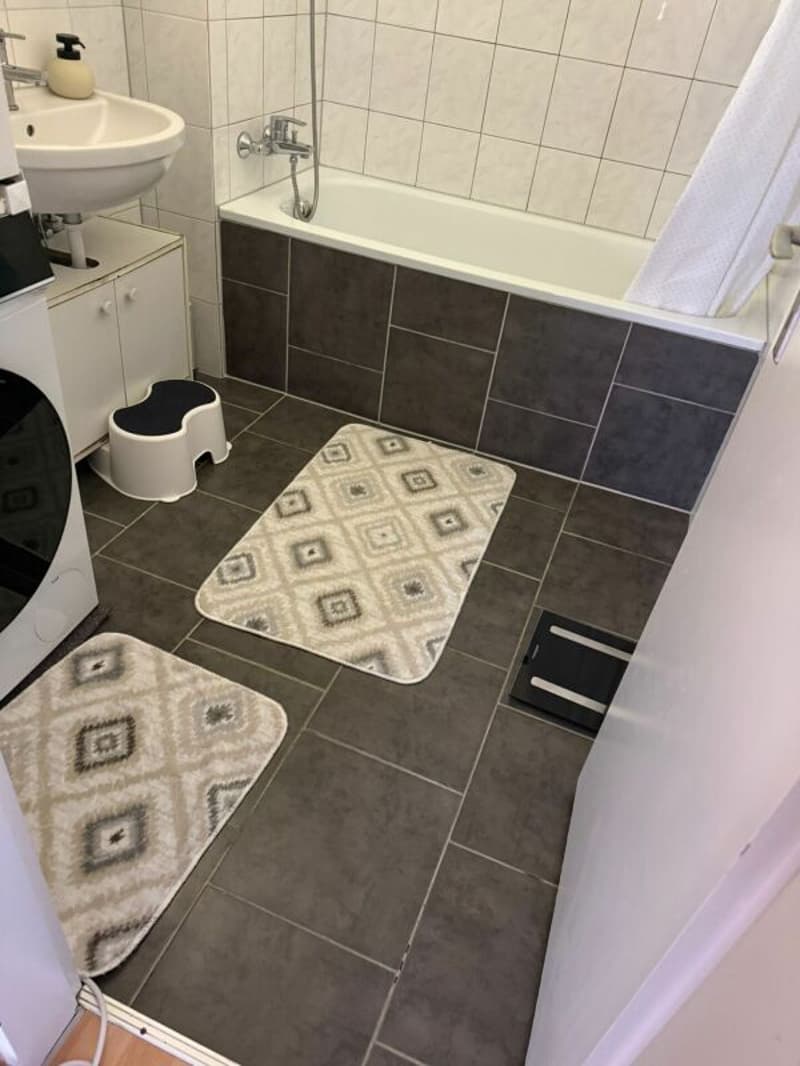 Ampio appartamento di 4,5 locali nel quartiere "Flurhof" (10)