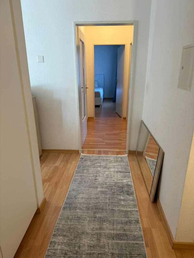 Ampio appartamento di 4,5 locali nel quartiere "Flurhof" (8)