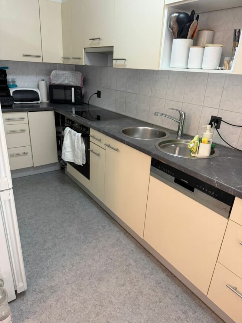 Ampio appartamento di 4,5 locali nel quartiere "Flurhof" (4)
