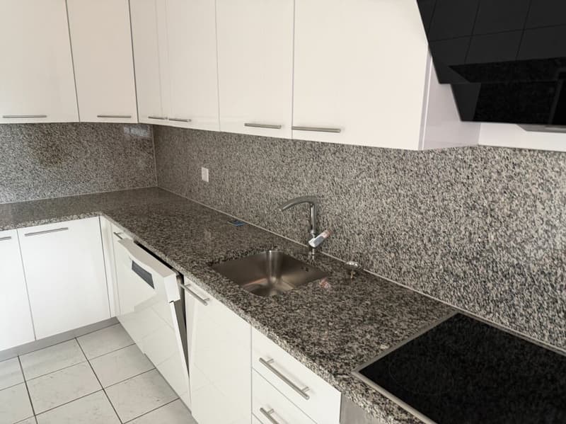 Grosszügige 4.5 Zimmer-Wohnung, im Quartier "Flurhof" (9)
