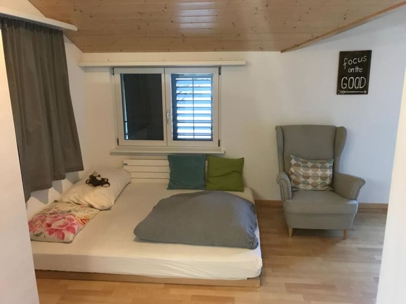 Moderne, individuelle Dachwohnung (3)