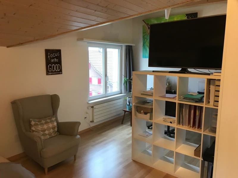 Moderne, individuelle Dachwohnung (5)