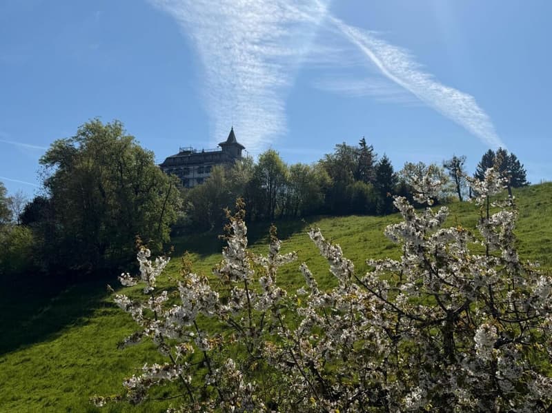 Studio mit "Loftcharakter" (5)