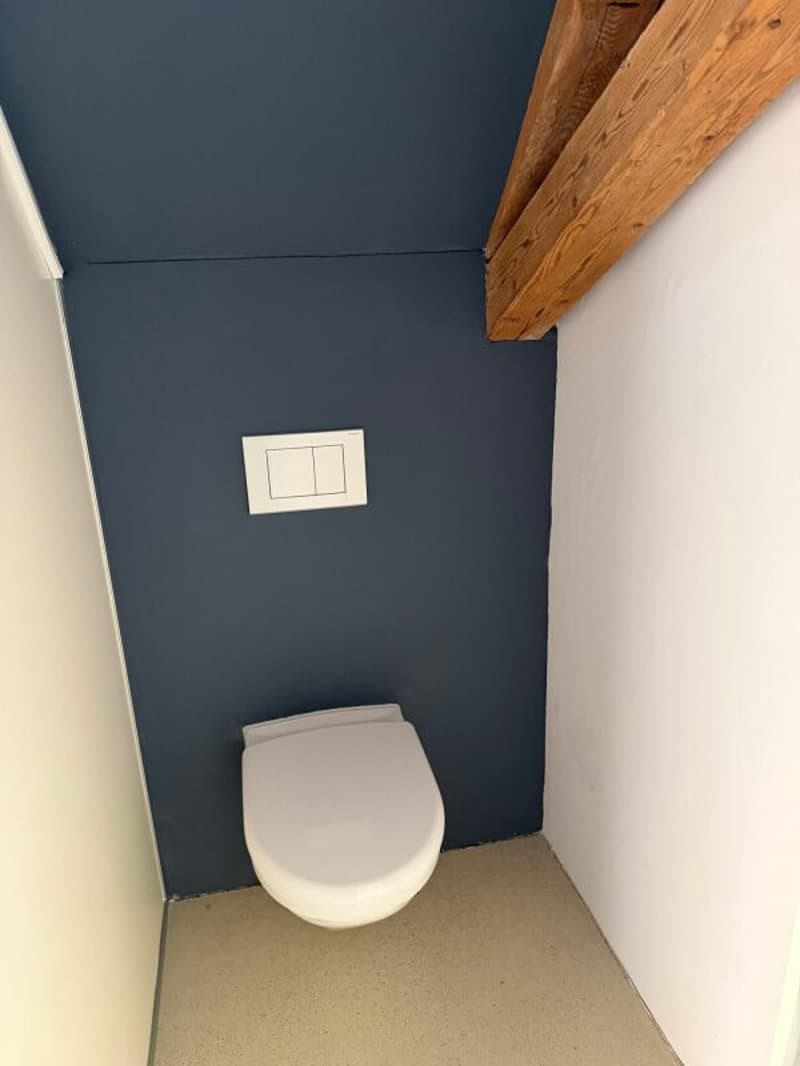 Studio mit "Loftcharakter" (4)