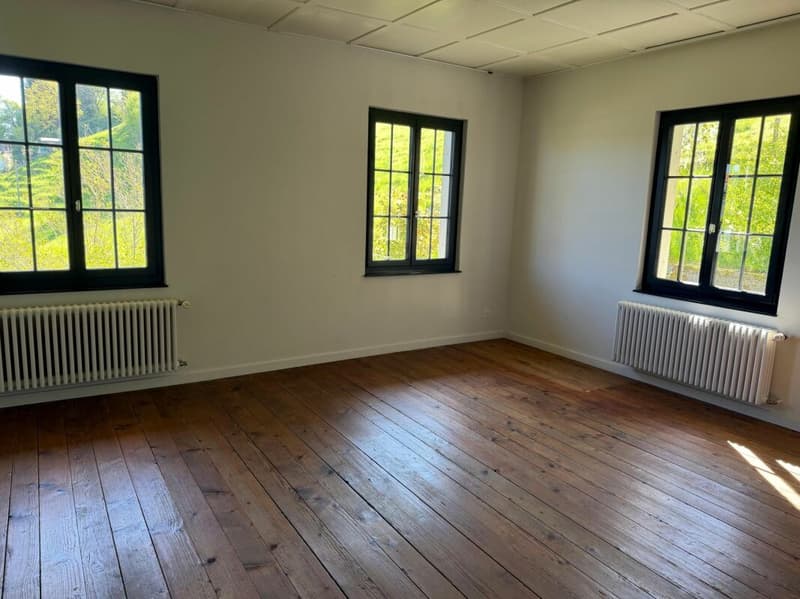 7-Zimmer Wohnung, Wohnerlebnis auf 182 m2! (5)