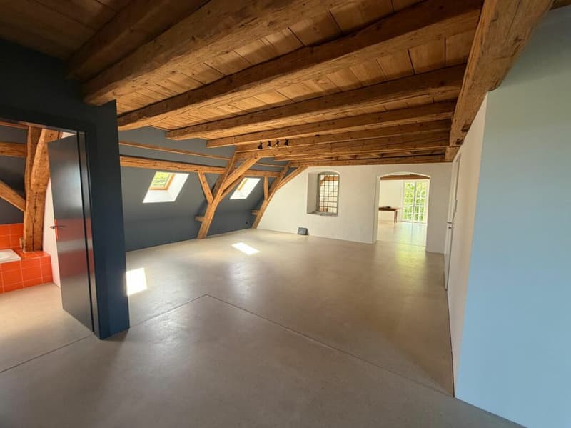 Exklusive Loft, open Space auf 159 m2 und exklusiver Innenausbau. (5)