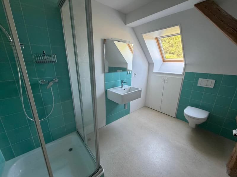Exklusive Loft, open Space auf 159 m2 und exklusiver Innenausbau. (8)