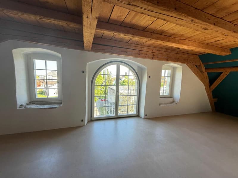Exklusive Loft, open Space auf 159 m2 und exklusiver Innenausbau. (6)