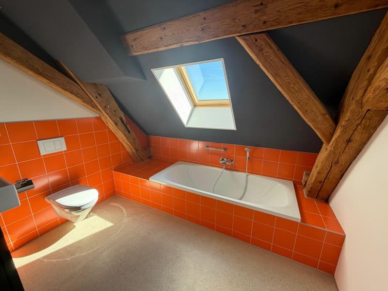 Exklusive Loft, open Space auf 159 m2 und exklusiver Innenausbau. (9)