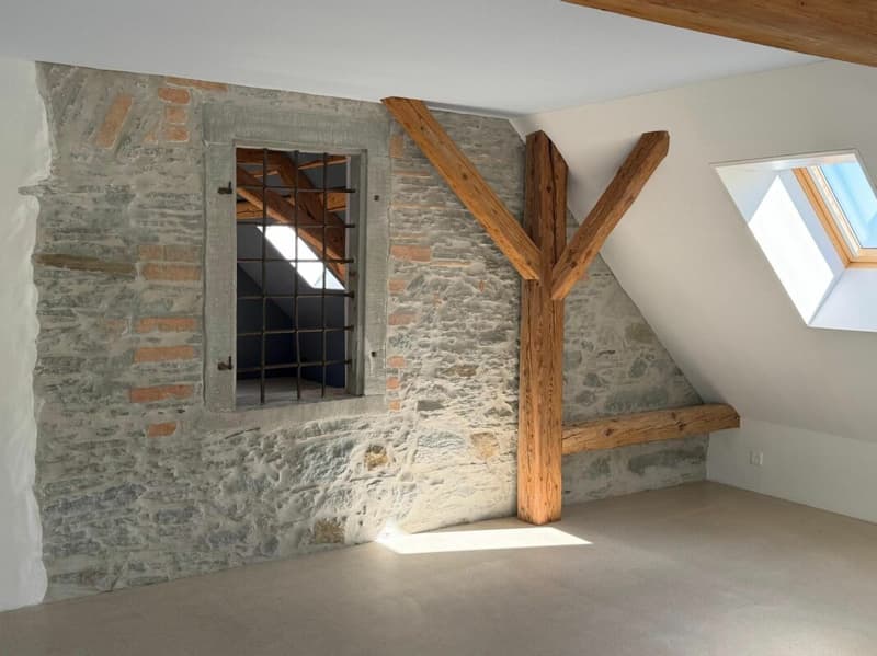 Exklusive Loft, open Space auf 159 m2 und exklusiver Innenausbau. (3)