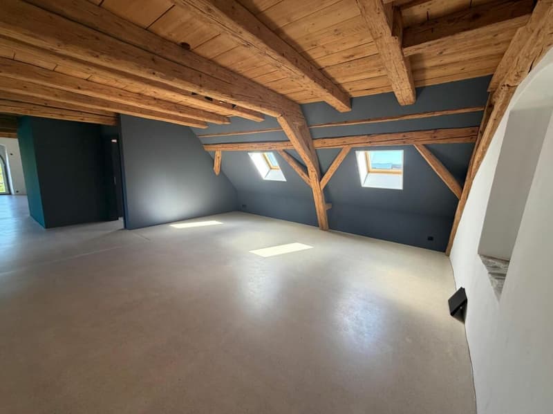 Exklusive Loft, open Space auf 159 m2 und exklusiver Innenausbau. (4)