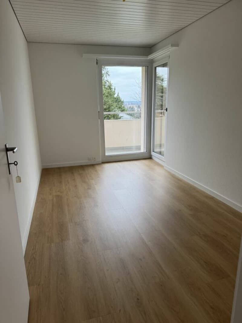 Wohnen an attraktiver Lage in Frauenfeld (6)
