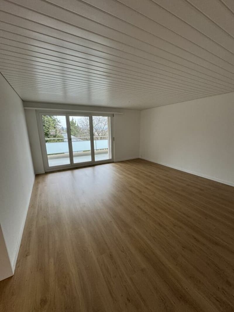 Wohnen an attraktiver Lage in Frauenfeld (3)