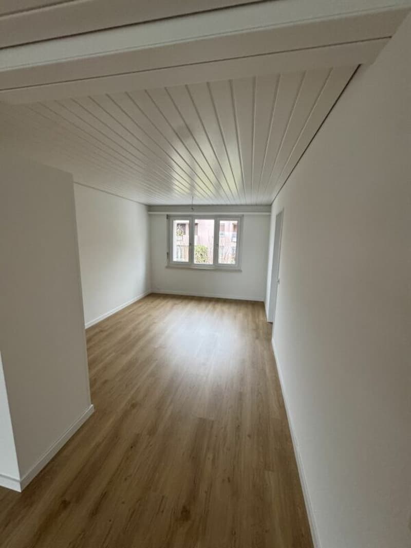 Wohnen an attraktiver Lage in Frauenfeld (2)