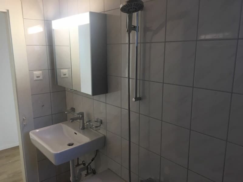 4-Zimmerwohnung in Stein am Rhein (5)