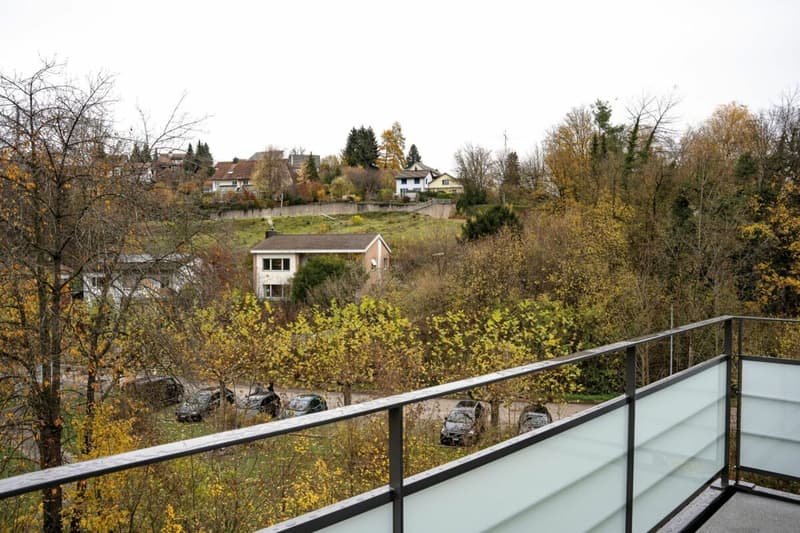 ERSTVERMIETUNG, EINZIGARTIGE UND TRENDIGE DACHWOHNUNG MIT LOFTCHARAKTER! (8)