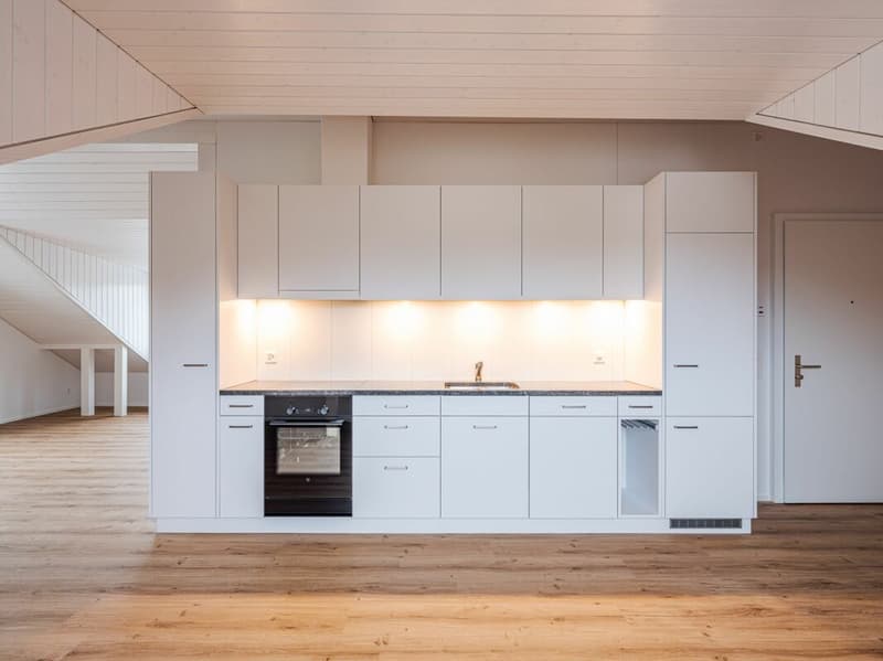 ERSTVERMIETUNG, EINZIGARTIGE UND TRENDIGE DACHWOHNUNG MIT LOFTCHARAKTER! (1)