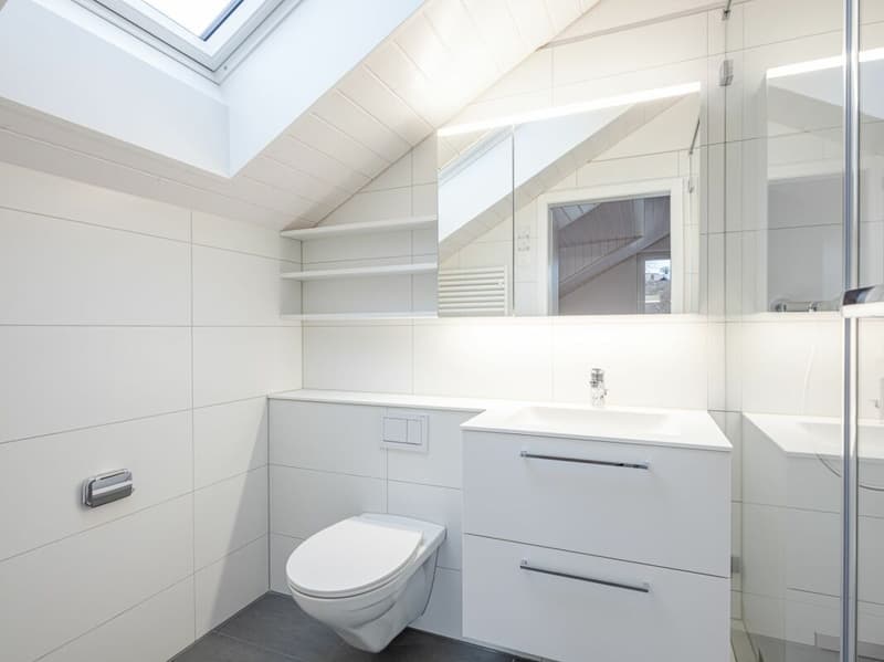 ERSTVERMIETUNG, EINZIGARTIGE UND TRENDIGE DACHWOHNUNG MIT LOFTCHARAKTER! (6)
