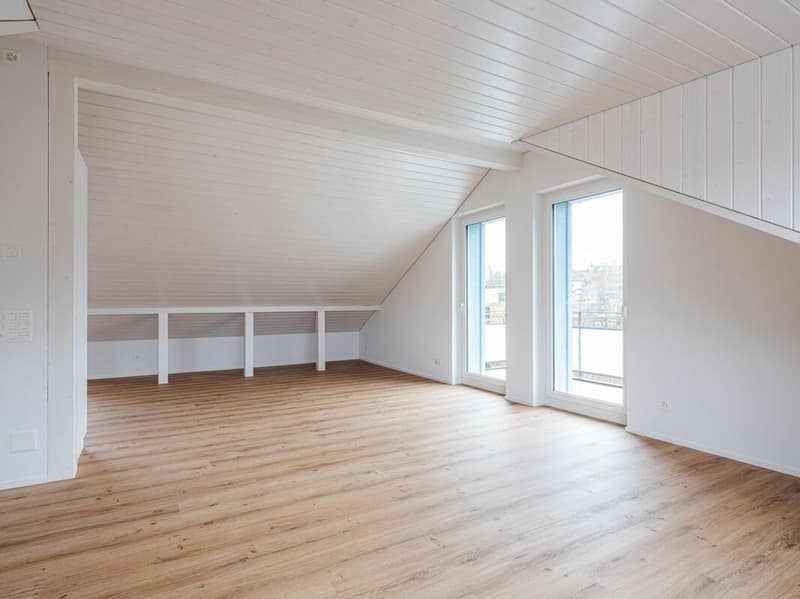 ERSTVERMIETUNG, EINZIGARTIGE UND TRENDIGE DACHWOHNUNG MIT LOFTCHARAKTER! (5)