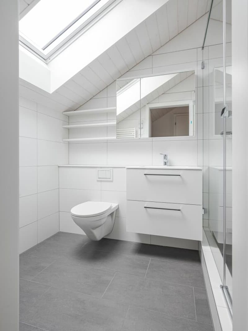 ERSTVERMIETUNG, EINZIGARTIGE UND TRENDIGE DACHWOHNUNG MIT LOFTCHARAKTER! (6)