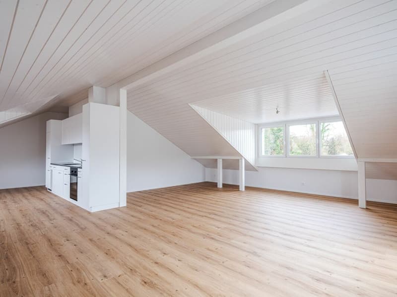ERSTVERMIETUNG, EINZIGARTIGE UND TRENDIGE DACHWOHNUNG MIT LOFTCHARAKTER! (1)