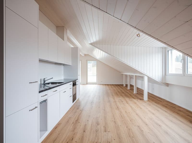 ERSTVERMIETUNG, EINZIGARTIGE UND TRENDIGE DACHWOHNUNG MIT LOFTCHARAKTER! (4)