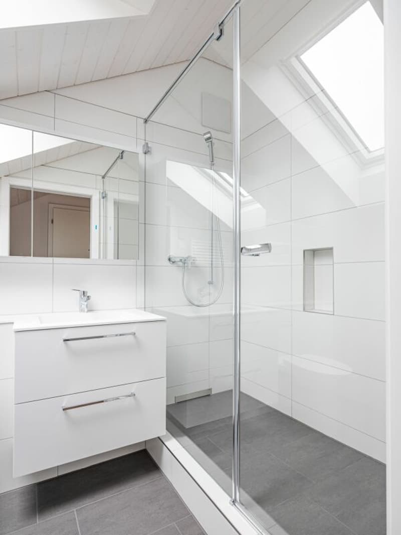 ERSTVERMIETUNG, EINZIGARTIGE UND TRENDIGE DACHWOHNUNG MIT LOFTCHARAKTER! (7)