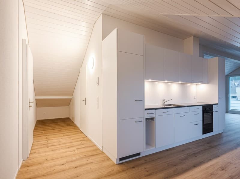 ERSTVERMIETUNG, EINZIGARTIGE UND TRENDIGE DACHWOHNUNG MIT LOFTCHARAKTER! (2)