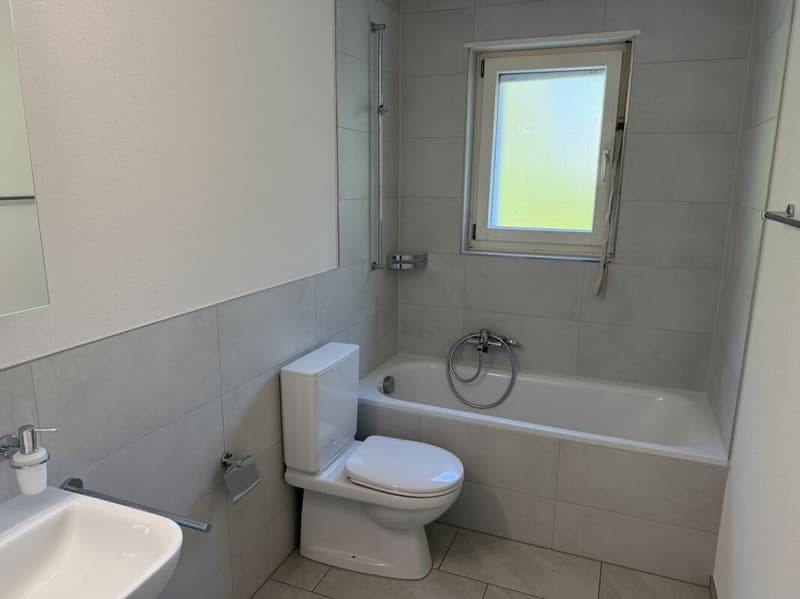 Neu sanierte 4-Zimmer Gartenwohnung, Zollikerberg (2)