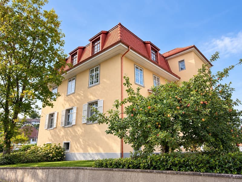 Erstvermietung: Spezialangebot in Elsau (3)