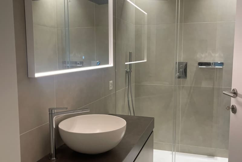 modern bathroom with gray tiles, white sink, mirror, and glass shower enclosure
