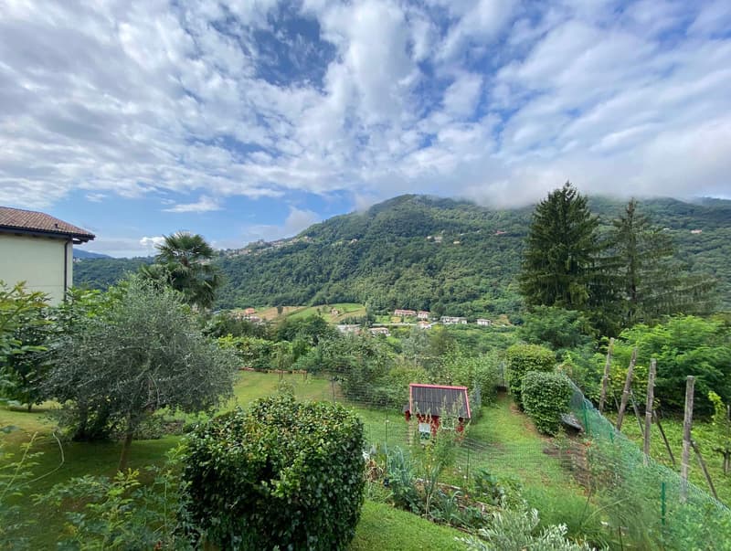 Garden with various plants, trees, and a small red shed, overlooking a valley and mountains
