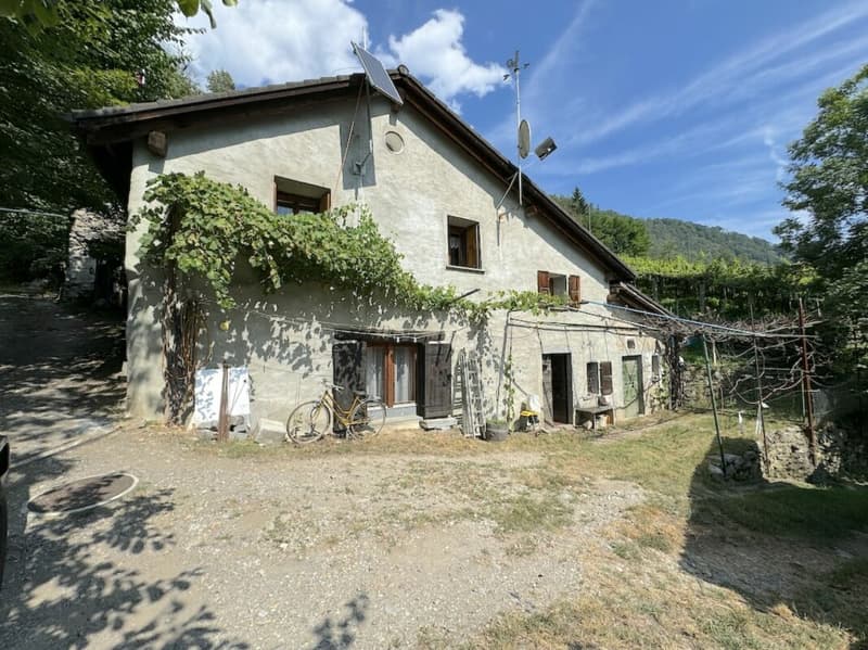 4 ½ Zimmer gemauertes Haus am Weinberg - Casa in muratura di 4 ½ locali sul vigneto