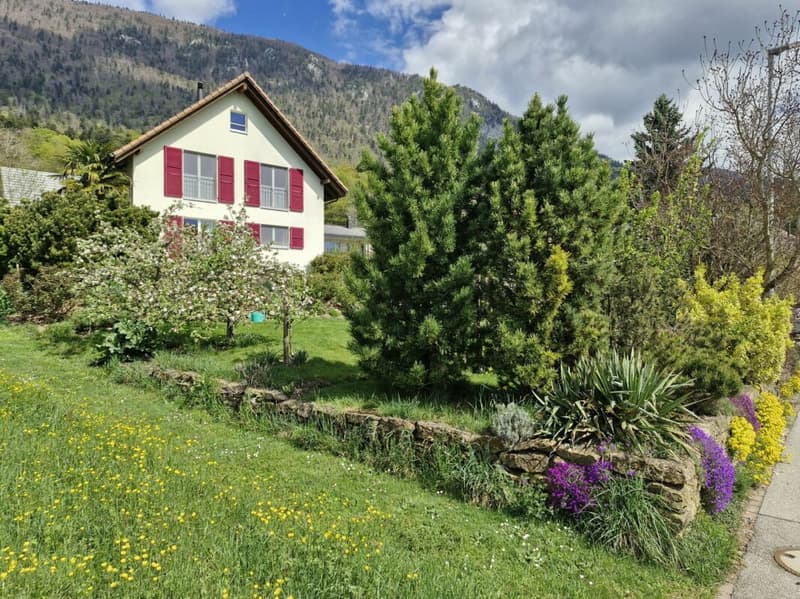 Tolles Einfamilienhaus mit windgeschütztem Sitzplatz (1)