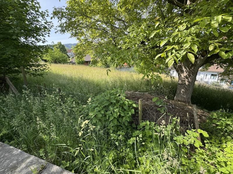 Bauland, z.B. für Villa, DEFH, 3 Wohnungen (2)