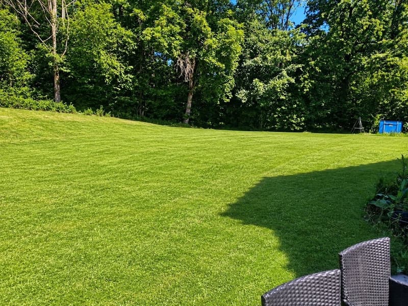 Drei moderne Terrassenhäuser mit Lift und grosszügigem Garten (20)