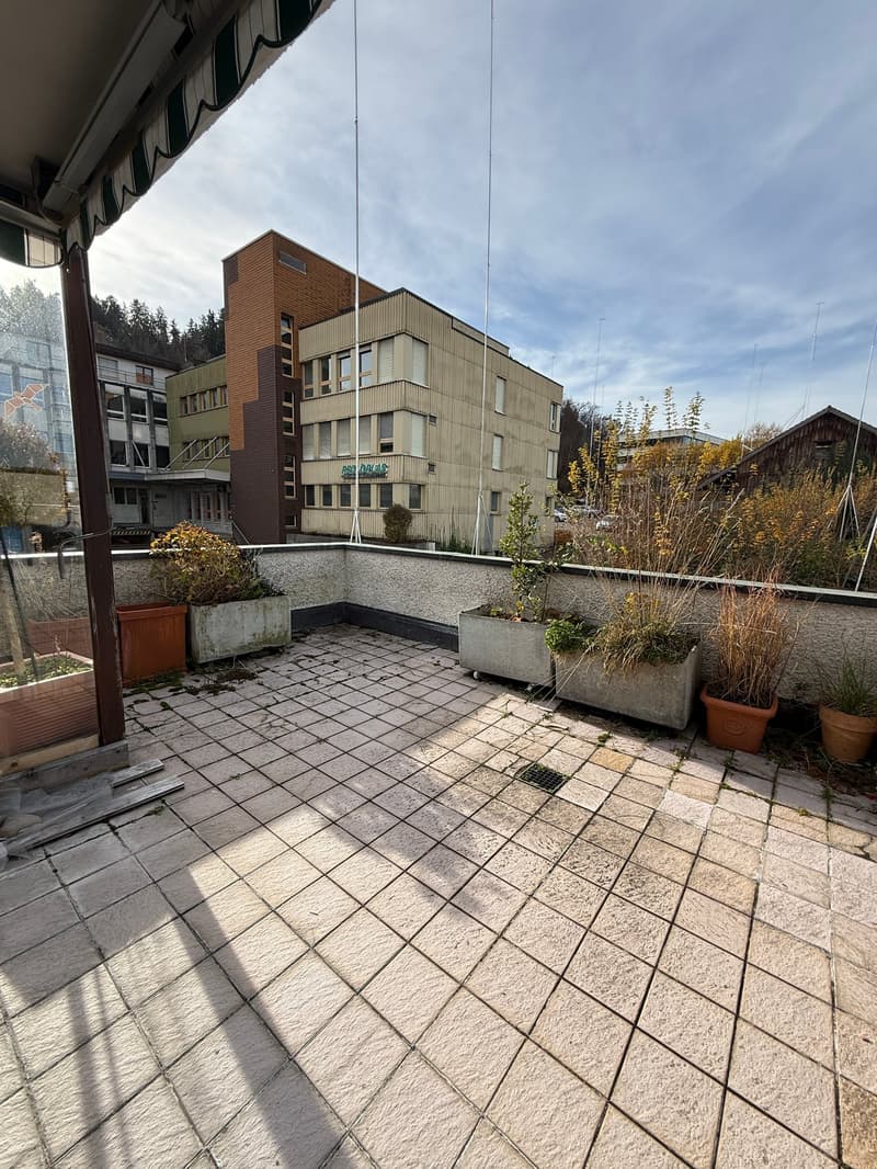 Tiled floor, tiled terrace, plants in pots, view of a city