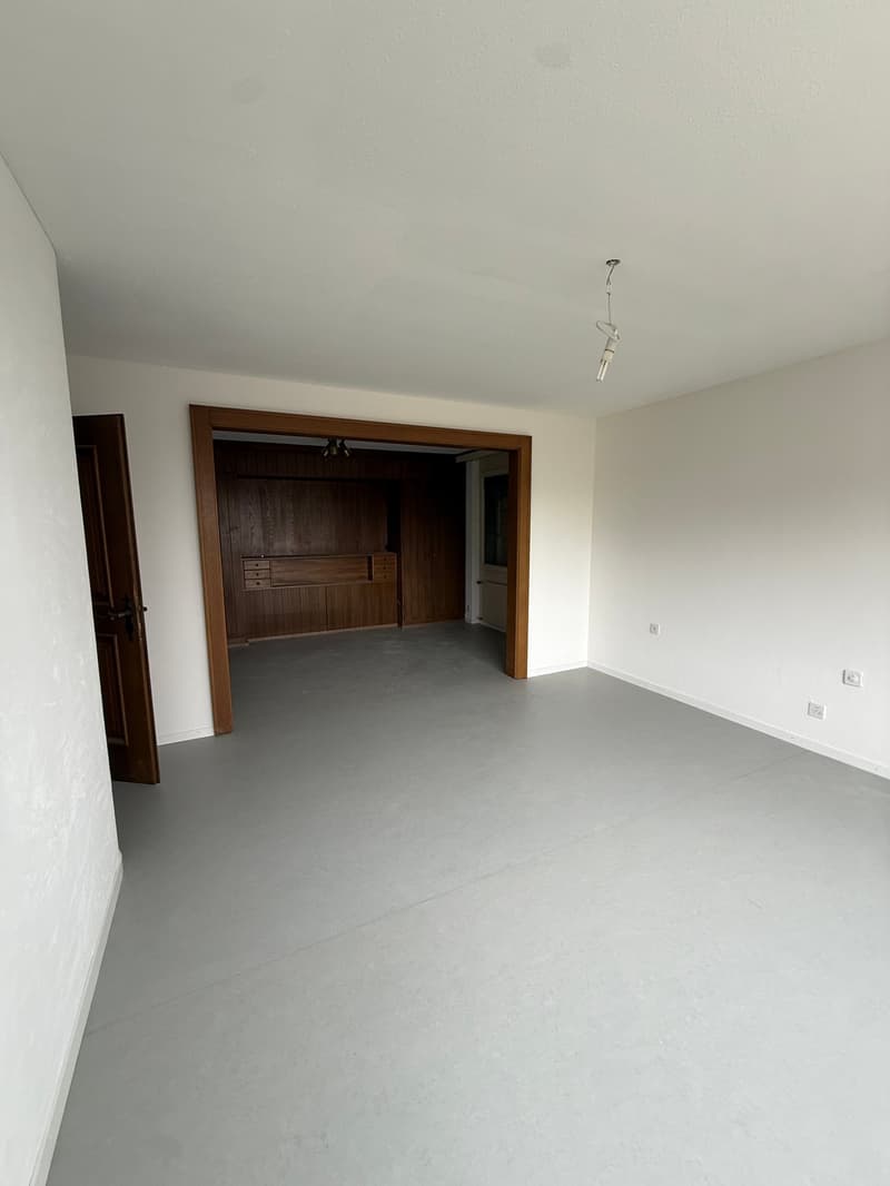 Empty room, white walls, gray floor, wooden door, wooden cabinet, power outlets