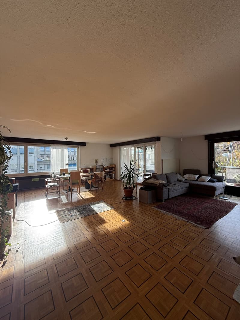 large open room, wooden floor, dining table and chairs, couch, potted plants, rug, floor lamps, large windows